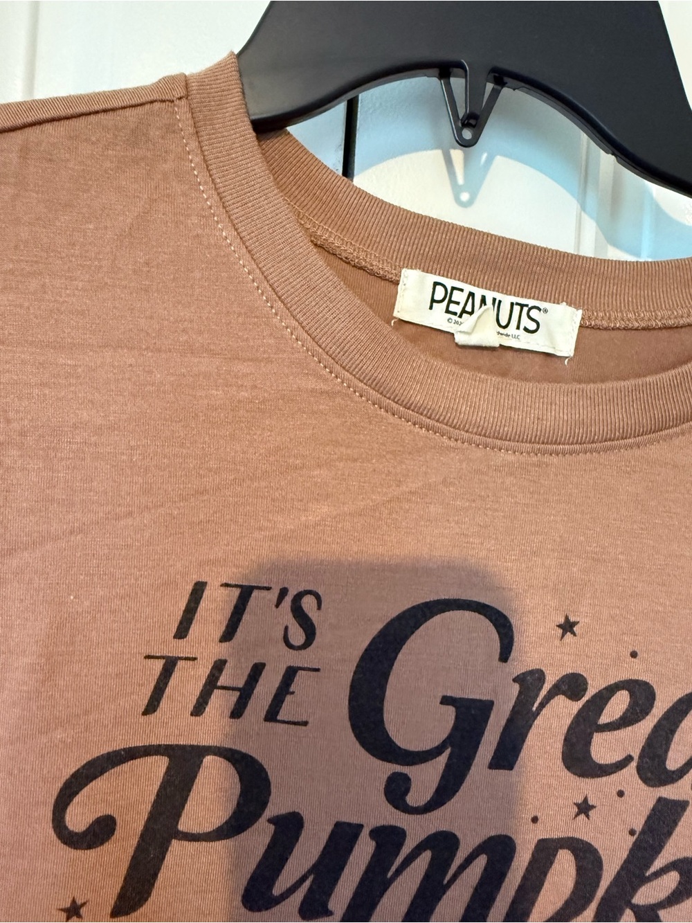 Peanuts Brown "It's the Great Pumpkin" Pajama Set - Picture 5 of 11